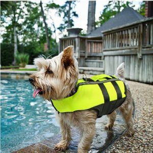 Pet Safety Swimming Vest